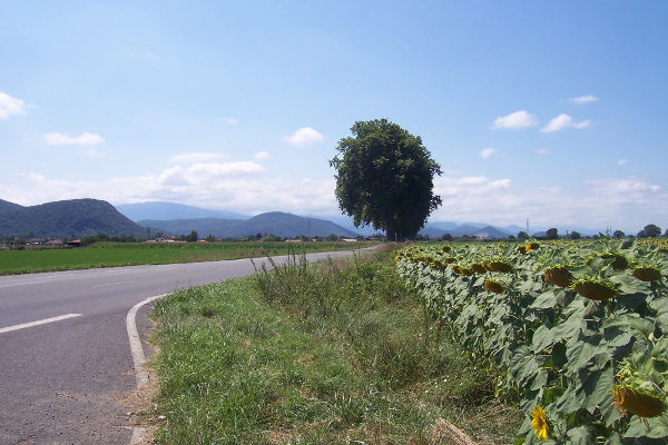 arrivée pyrennees